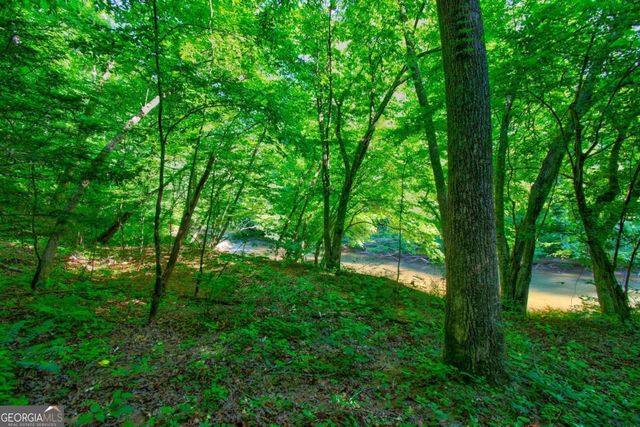 5.31 Tom Bell Odom Road, Dahlonega, GA 30533