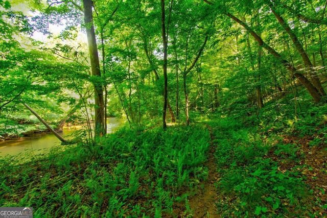 5.31 Tom Bell Odom Road, Dahlonega, GA 30533