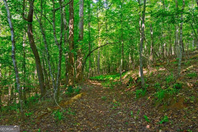 5.31 Tom Bell Odom Road, Dahlonega, GA 30533