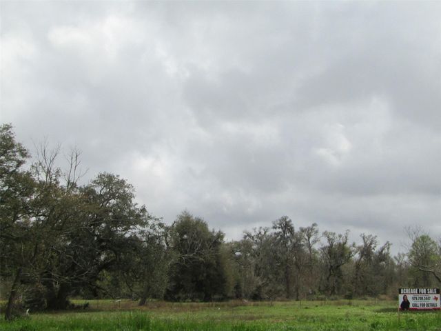 2481 Fm 521 Road, Brazoria, TX 77422