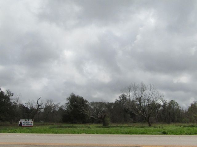 2481 Fm 521 Road, Brazoria, TX 77422
