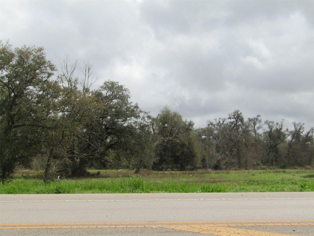 2481 Fm 521 Road, Brazoria, TX 77422