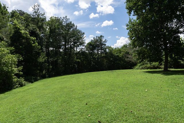 1214 Hollis Terrace, Cottontown, TN 37048