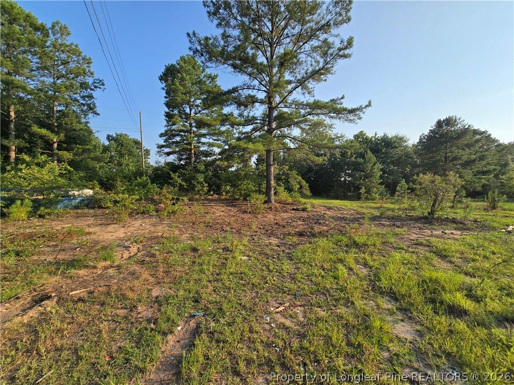 2160 Montana Road, Hope Mills, NC 28306 — photo 9