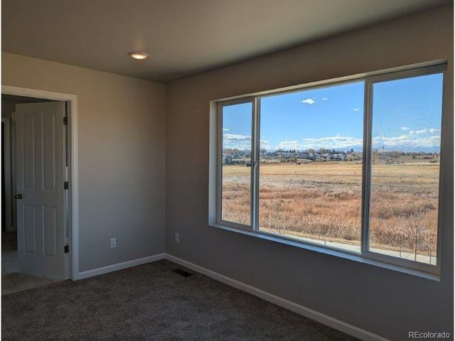 16953 Ballinger Cir, Mead, CO 80542