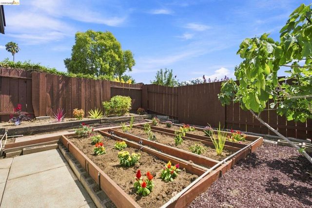 509 Junipero St, Pleasanton, CA 94566