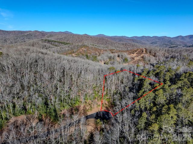 1647 Mills River Way, Horse Shoe, NC 28742