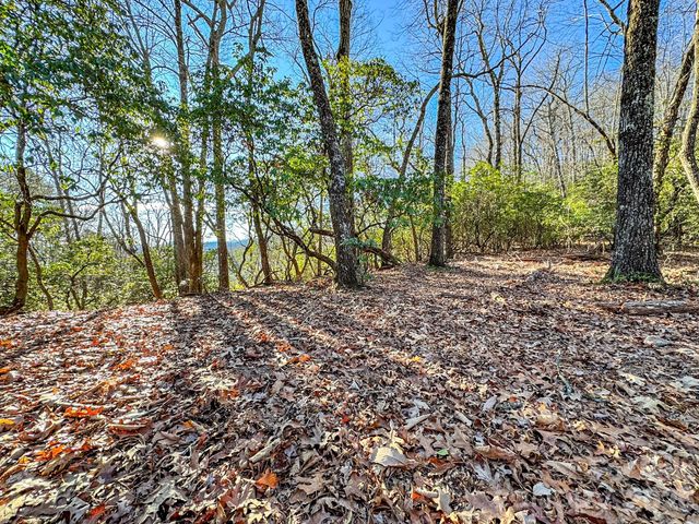 1647 Mills River Way, Horse Shoe, NC 28742