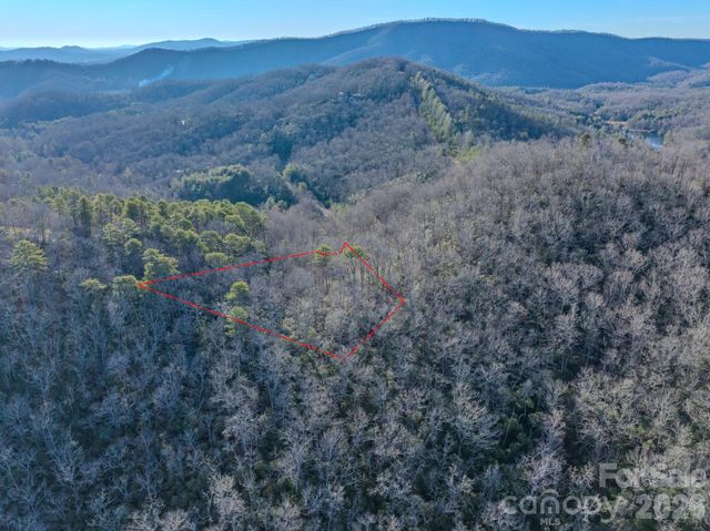 1647 Mills River Way, Horse Shoe, NC 28742