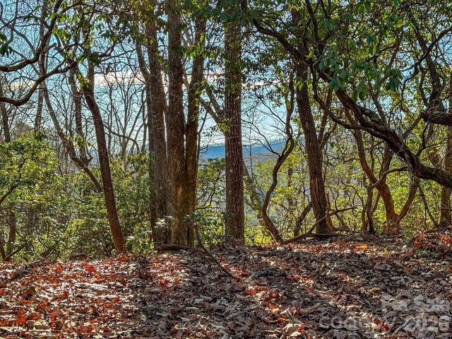 1647 Mills River Way, Horse Shoe, NC 28742