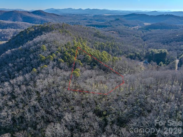 1647 Mills River Way, Horse Shoe, NC 28742