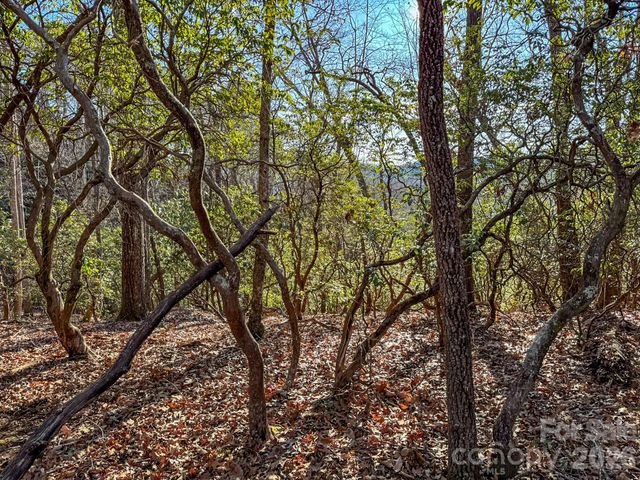 1647 Mills River Way, Horse Shoe, NC 28742