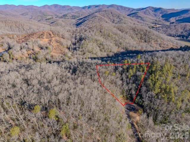 1647 Mills River Way, Horse Shoe, NC 28742