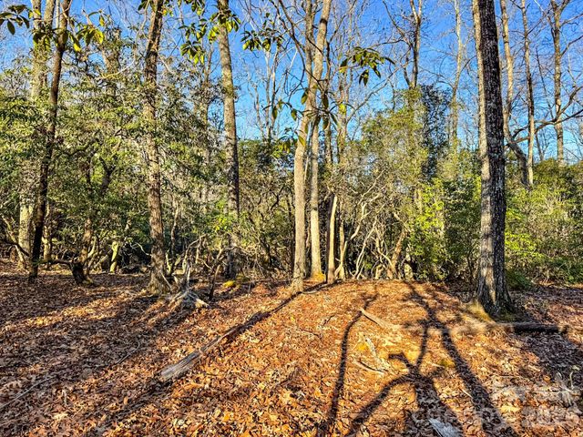 1647 Mills River Way, Horse Shoe, NC 28742