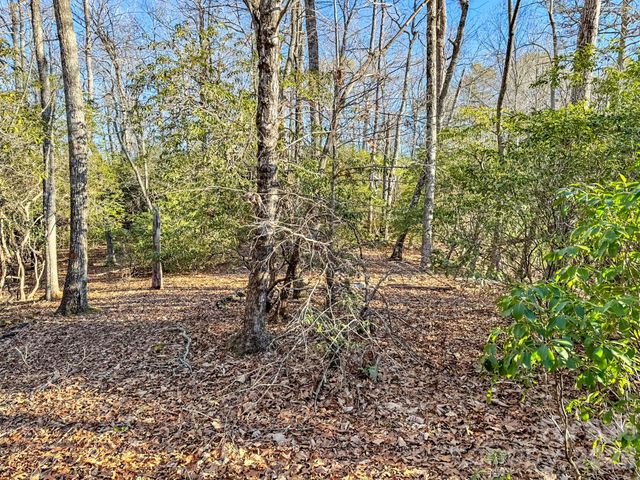 1647 Mills River Way, Horse Shoe, NC 28742