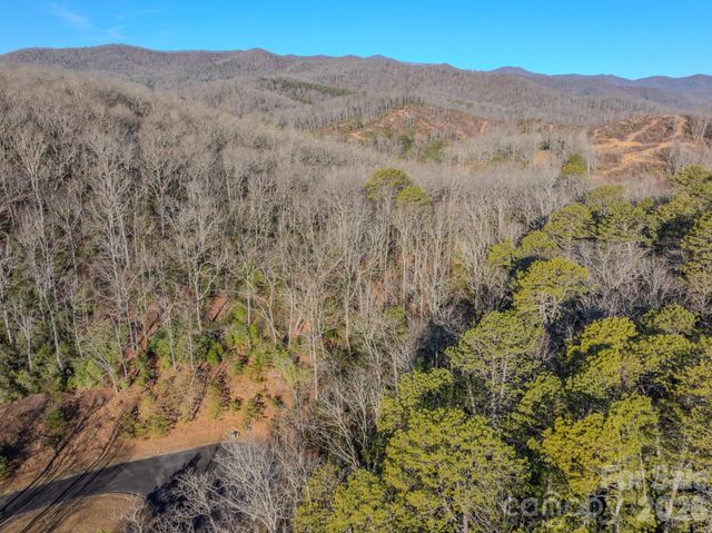 1647 Mills River Way, Horse Shoe, NC 28742