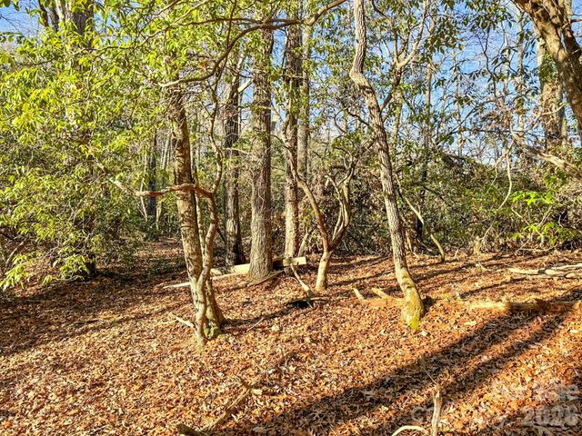 1647 Mills River Way, Horse Shoe, NC 28742