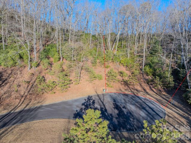 1647 Mills River Way, Horse Shoe, NC 28742