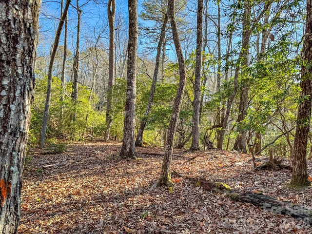 1647 Mills River Way, Horse Shoe, NC 28742