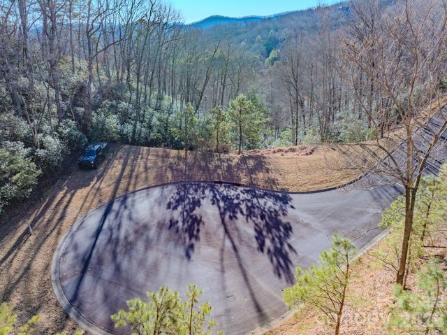 1647 Mills River Way, Horse Shoe, NC 28742