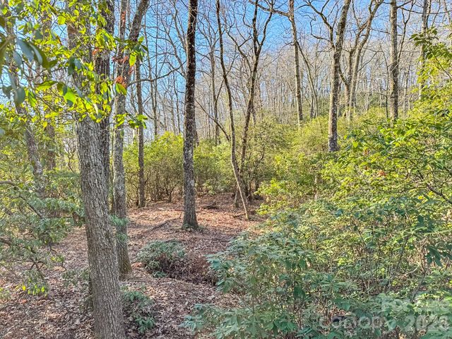 1647 Mills River Way, Horse Shoe, NC 28742