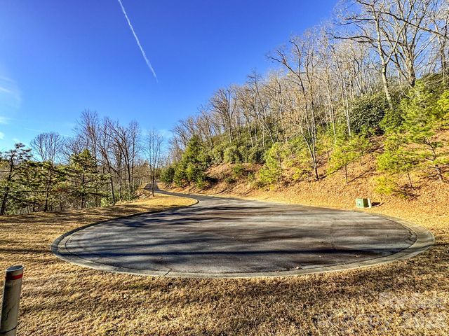 1647 Mills River Way, Horse Shoe, NC 28742