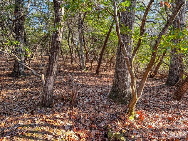 1647 Mills River Way, Horse Shoe, NC 28742