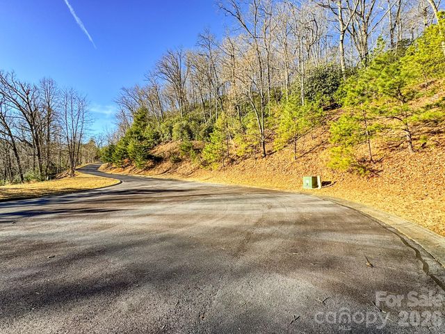 1647 Mills River Way, Horse Shoe, NC 28742