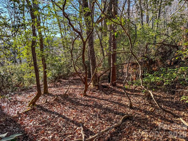 1647 Mills River Way, Horse Shoe, NC 28742