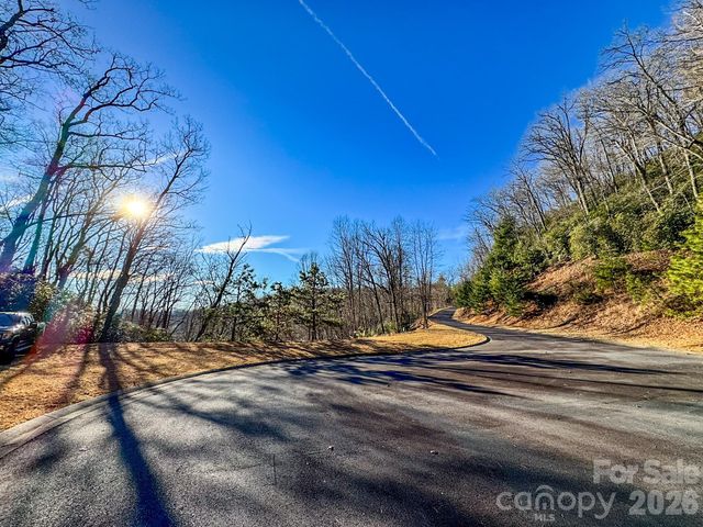 1647 Mills River Way, Horse Shoe, NC 28742