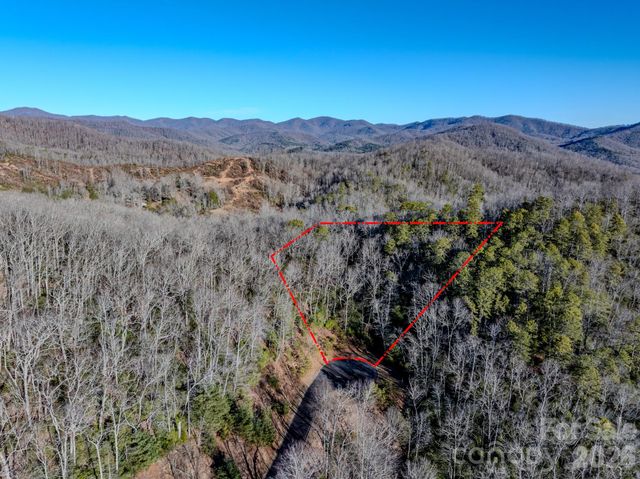 1647 Mills River Way, Horse Shoe, NC 28742