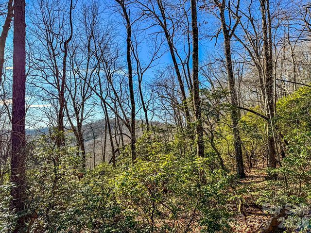 1647 Mills River Way, Horse Shoe, NC 28742