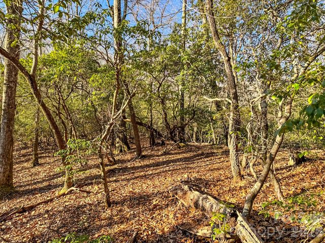 1647 Mills River Way, Horse Shoe, NC 28742