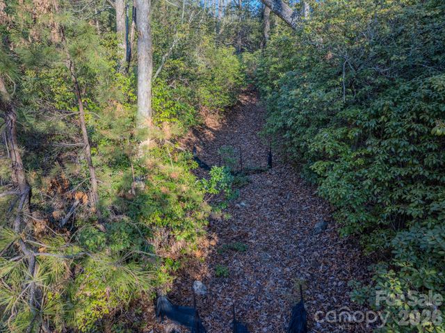 1647 Mills River Way, Horse Shoe, NC 28742