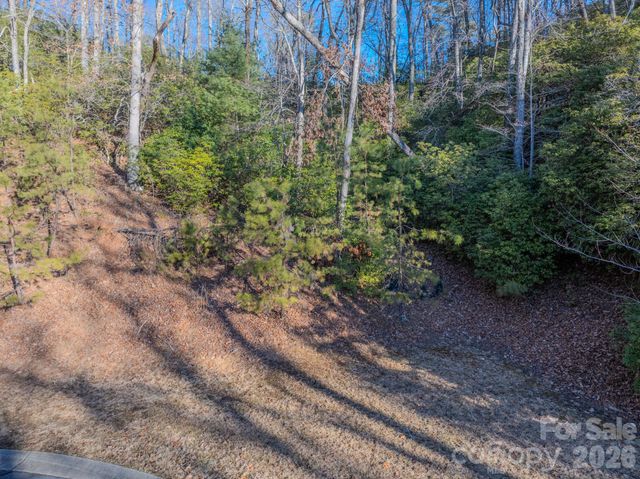1647 Mills River Way, Horse Shoe, NC 28742