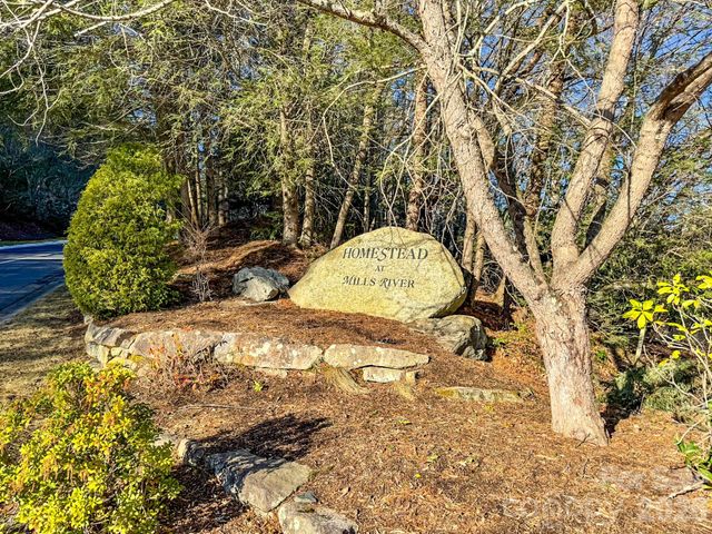 1647 Mills River Way, Horse Shoe, NC 28742