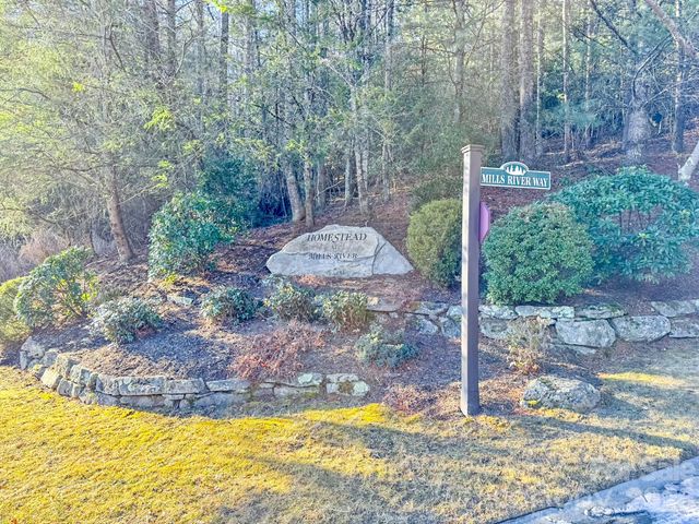 1647 Mills River Way, Horse Shoe, NC 28742