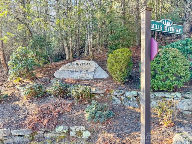 1647 Mills River Way, Horse Shoe, NC 28742