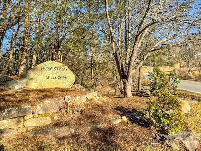 1647 Mills River Way, Horse Shoe, NC 28742