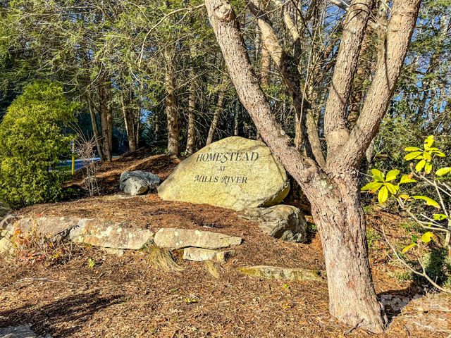 1647 Mills River Way, Horse Shoe, NC 28742