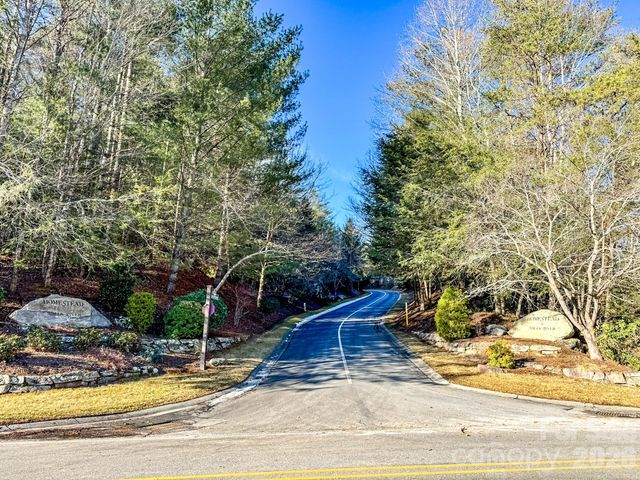 1647 Mills River Way, Horse Shoe, NC 28742