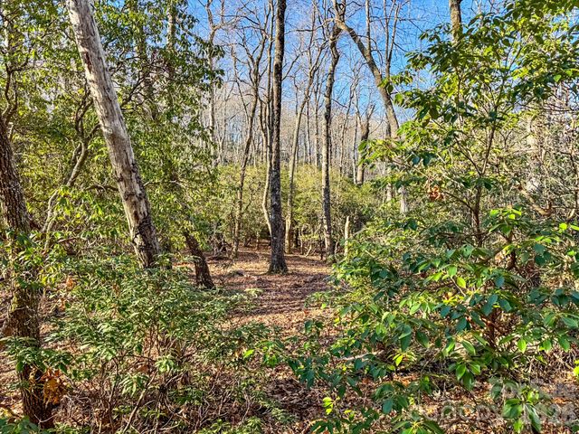 1647 Mills River Way, Horse Shoe, NC 28742