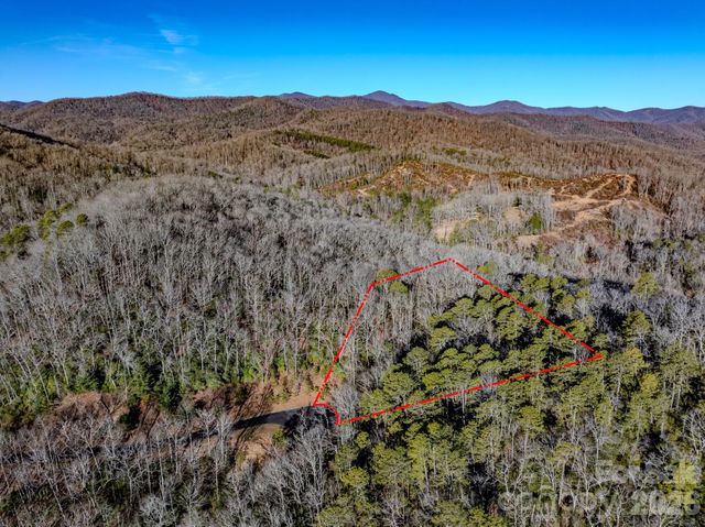 1647 Mills River Way, Horse Shoe, NC 28742