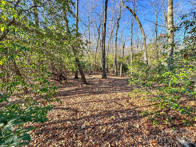 1647 Mills River Way, Horse Shoe, NC 28742