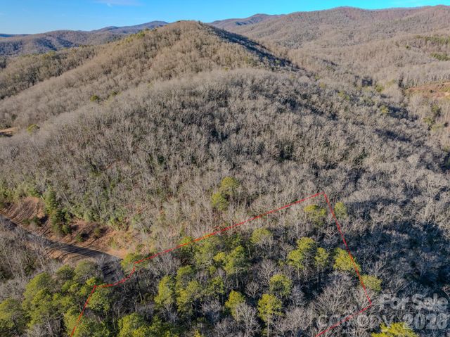 1647 Mills River Way, Horse Shoe, NC 28742