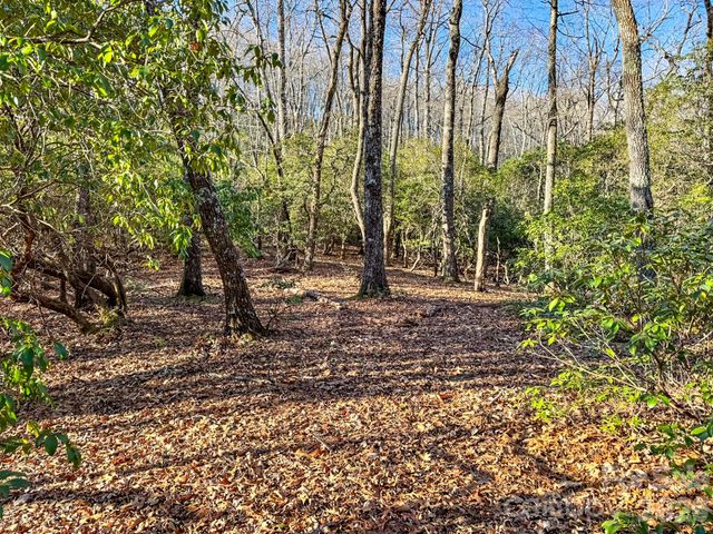 1647 Mills River Way, Horse Shoe, NC 28742