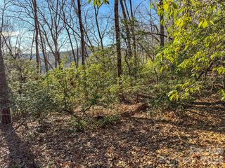 1647 Mills River Way, Horse Shoe, NC 28742