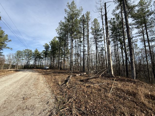 0 Richland Harbor Rd, Waverly, TN 37185