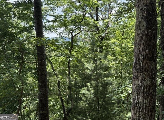 LOT 2607 Magnet Court, Ellijay, GA 30540
