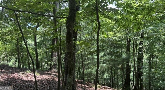 LOT 2607 Magnet Court, Ellijay, GA 30540